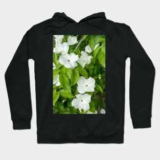 White Dogwood Flowers. Hoodie